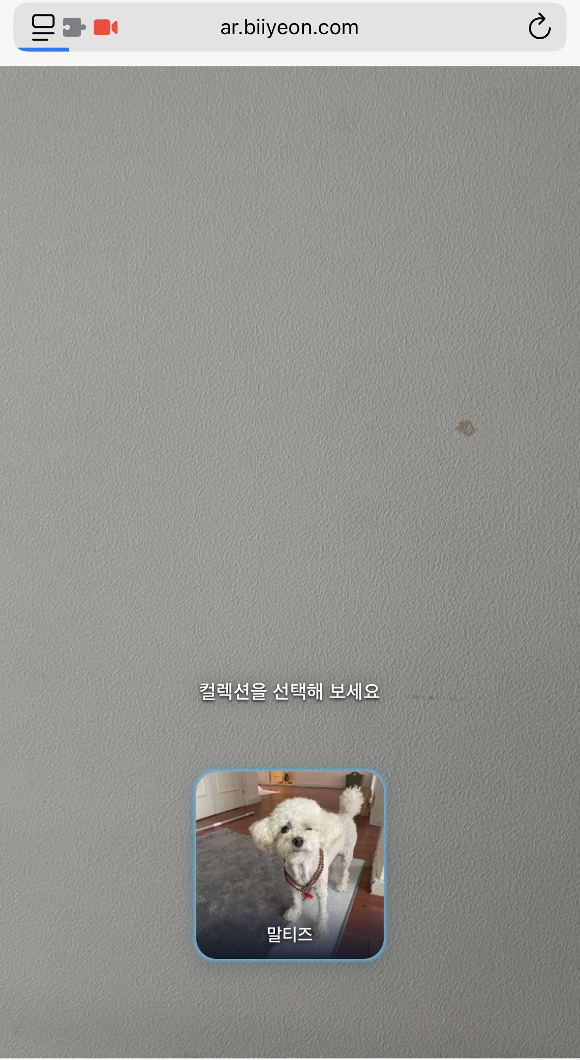 컬렉션 선택 화면: 카메라 뷰 위에 컬렉션 카드