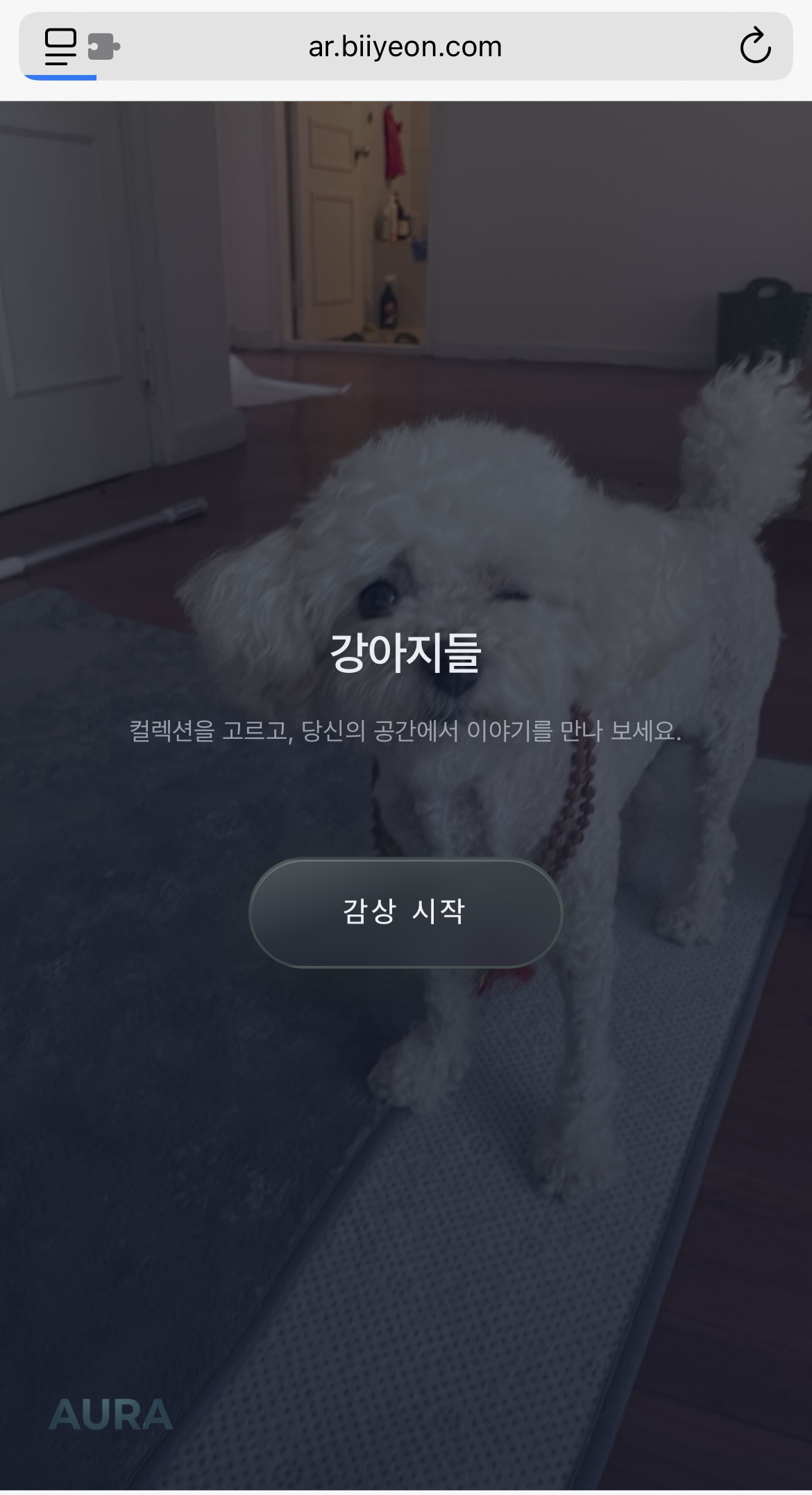 공간 모드 초기 화면: 컬렉션을 고르고 당신의 공간에서 이야기를 만나 보세요 안내